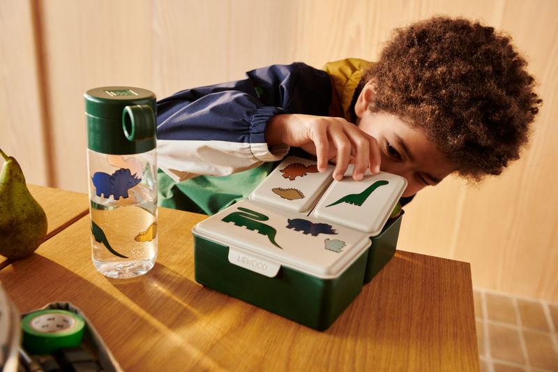 Driss Matboks Dinosaurs Liewood 